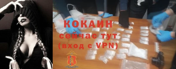 дживик Баксан