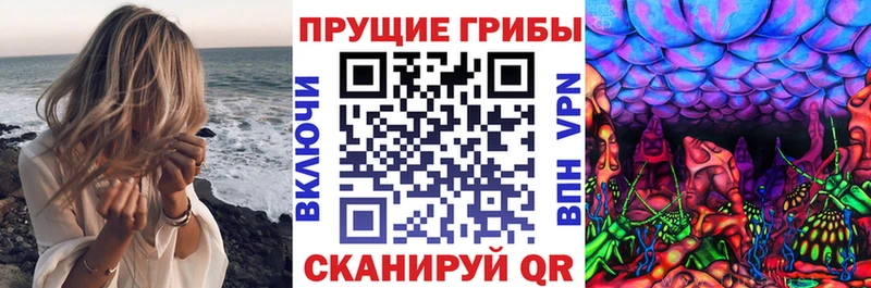 где купить наркоту  Козельск  Псилоцибиновые грибы ЛСД 