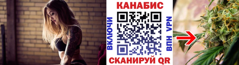 Бошки Шишки планчик Козельск